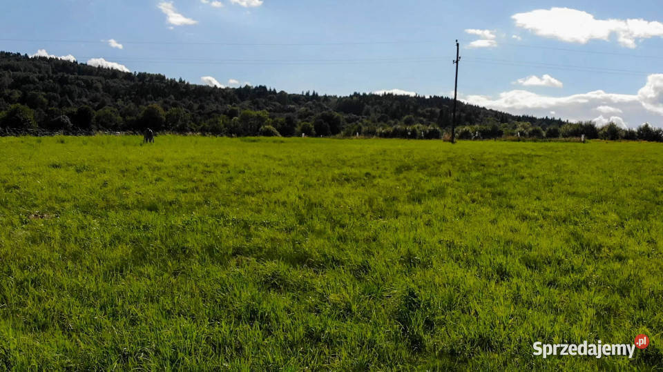 Działka budowlana 1 503 m MPZP MN małopolskie Skawinki