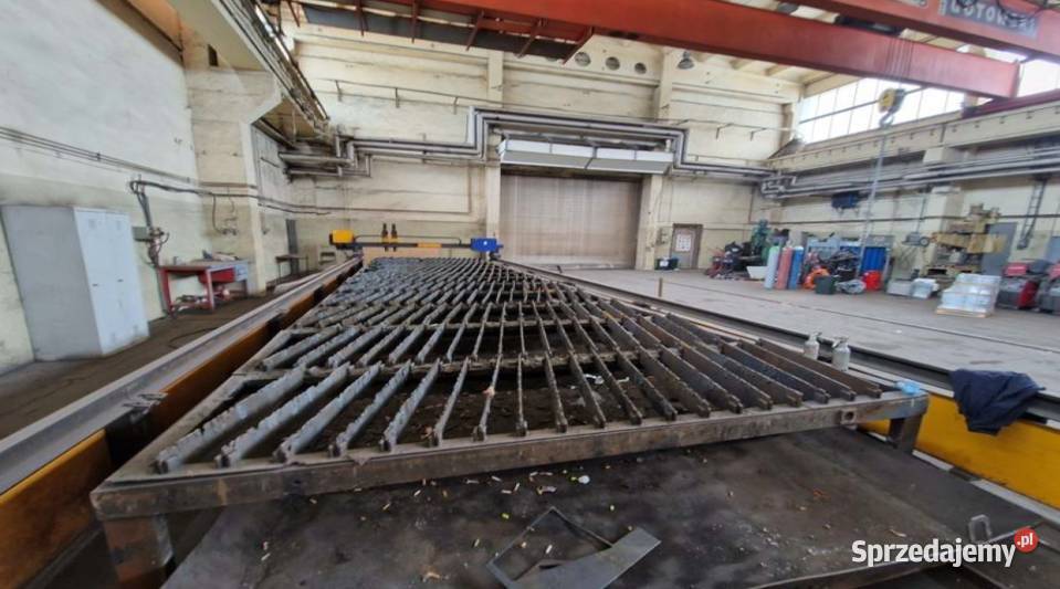 Syndyk sprzeda przecinarkę plazmowa Eckert typ Kłodawa