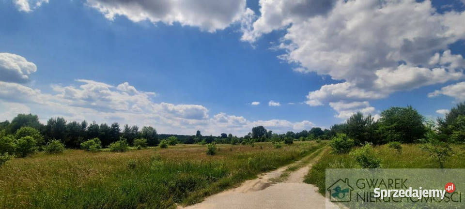 Ogłoszenie grunt 3100m2 Kotowice śląskie