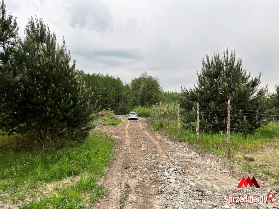 Działka 2888m2 Osiek 2888m2