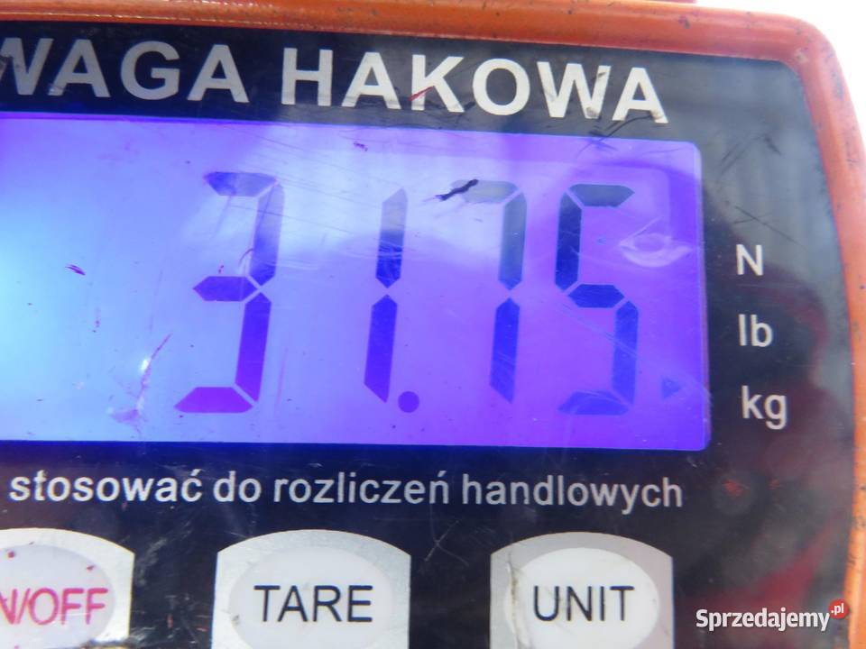 SANKI PRZÓD HYUNDAI TUCSON I JM 20 CRDi 4WD 113 małopolskie