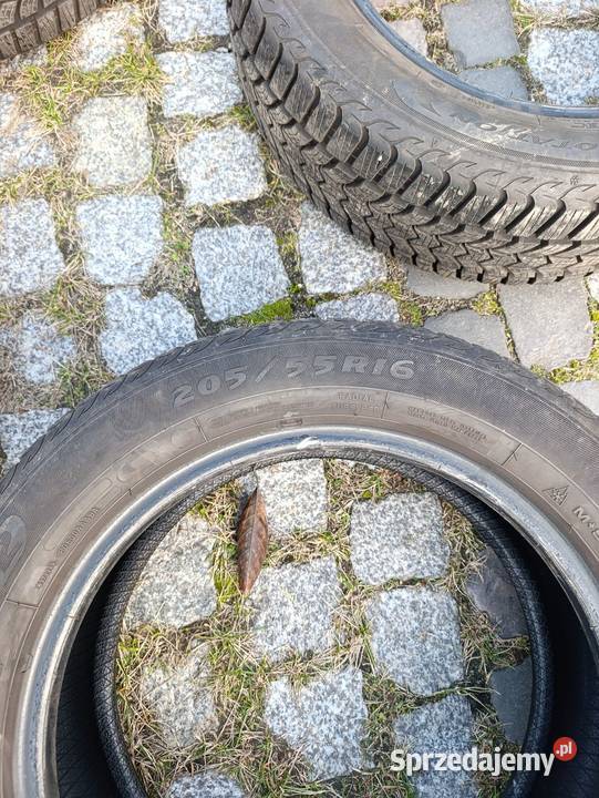 Opony zimowe Dębica 1655205 Bytom