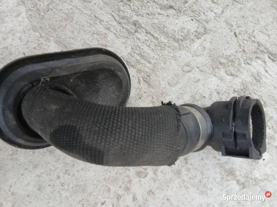 Audi A6 C6 Przewód wąż układu chłodzenia Węże chłodnicy śląskie Szczerbice