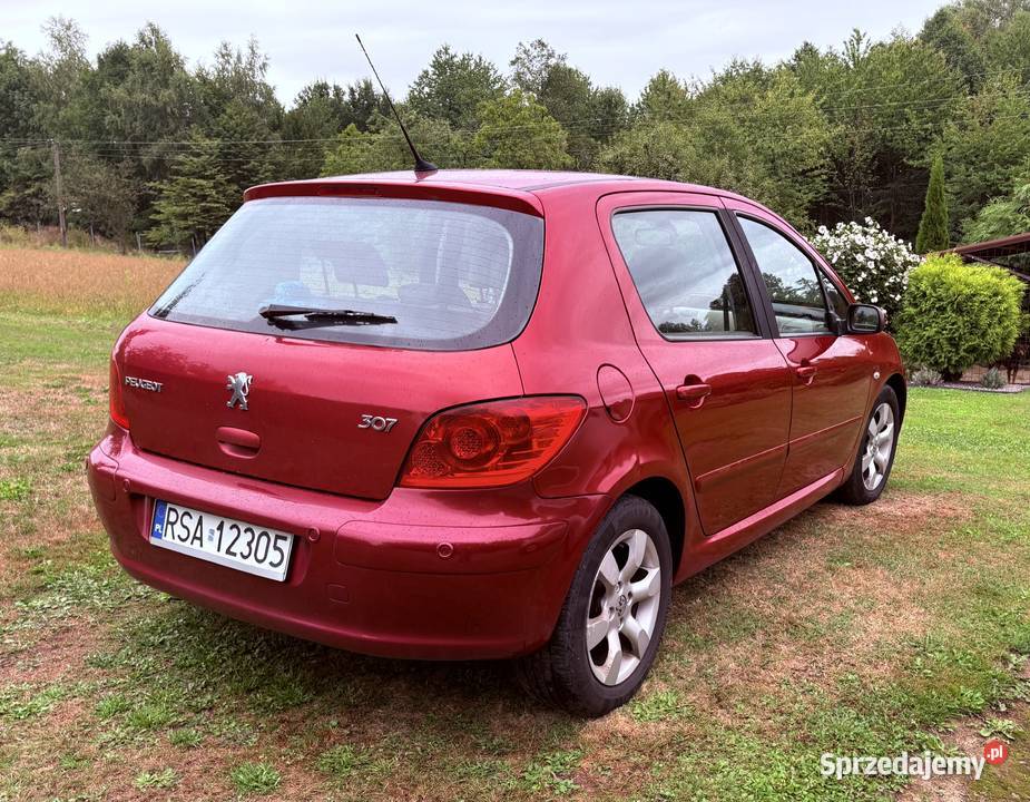 Peugeot 307 lift Chmielnik
