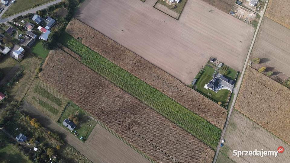 Działka budowlana 066ha ulica sosnowa Sprzedaż