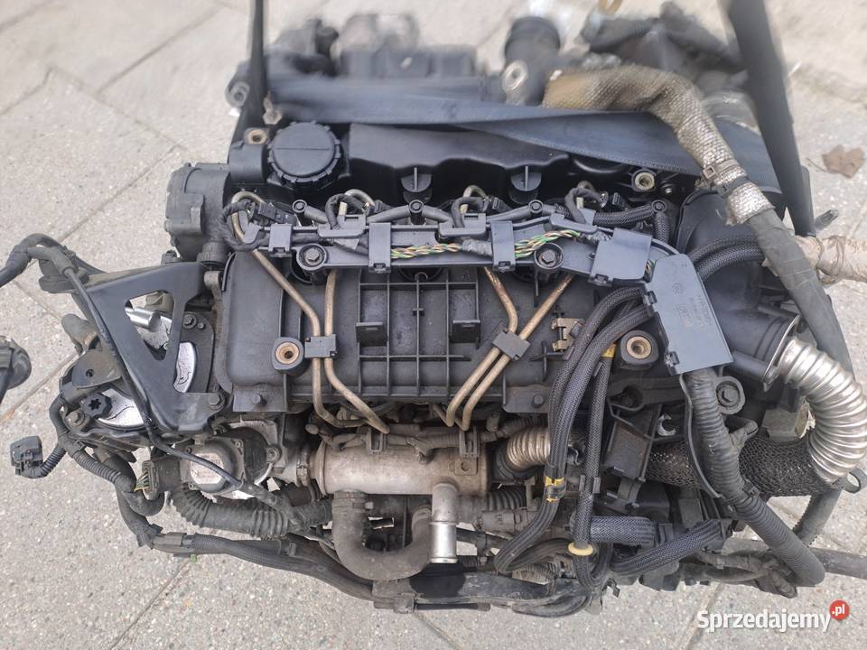 Volvo C30 S40 II V50 V70 III 16D 109 silnik Rok produkcji 2010 Jastrzębie-Zdrój sprzedam