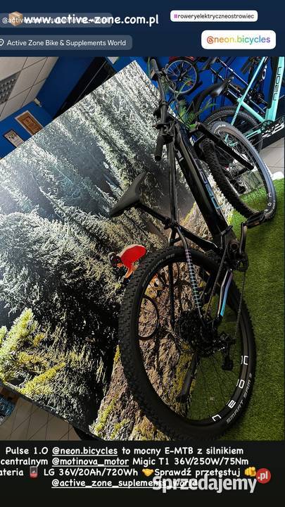 Rower Górski Elektryczny NEON PULSE 29 świętokrzyskie