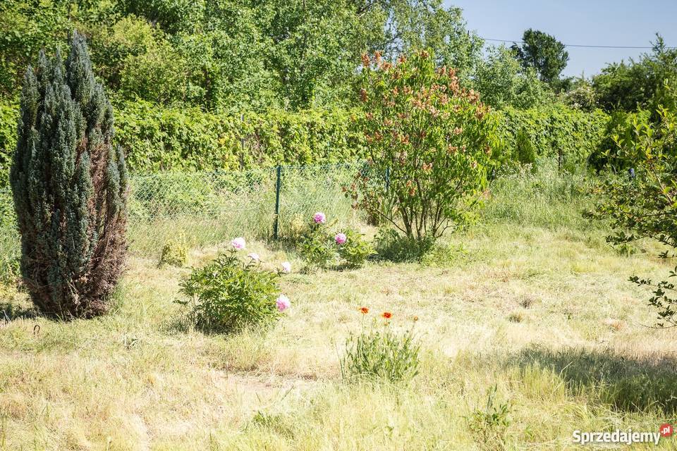 Sprzedam działkę rekreacyjną w Kamieńcu