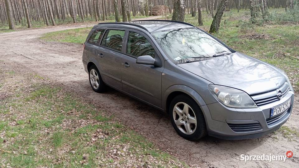 Sprzedam samochód w stanie z roku 2004 1900cm3 wielkopolskie Środa Wielkopolska