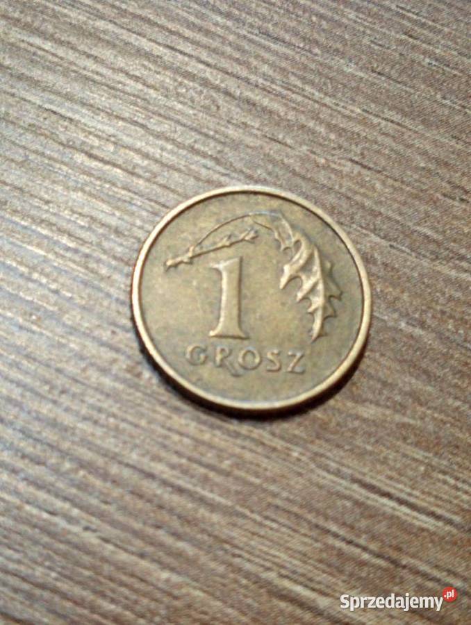 Sprzedam 1 grosz 1990 r Chełm