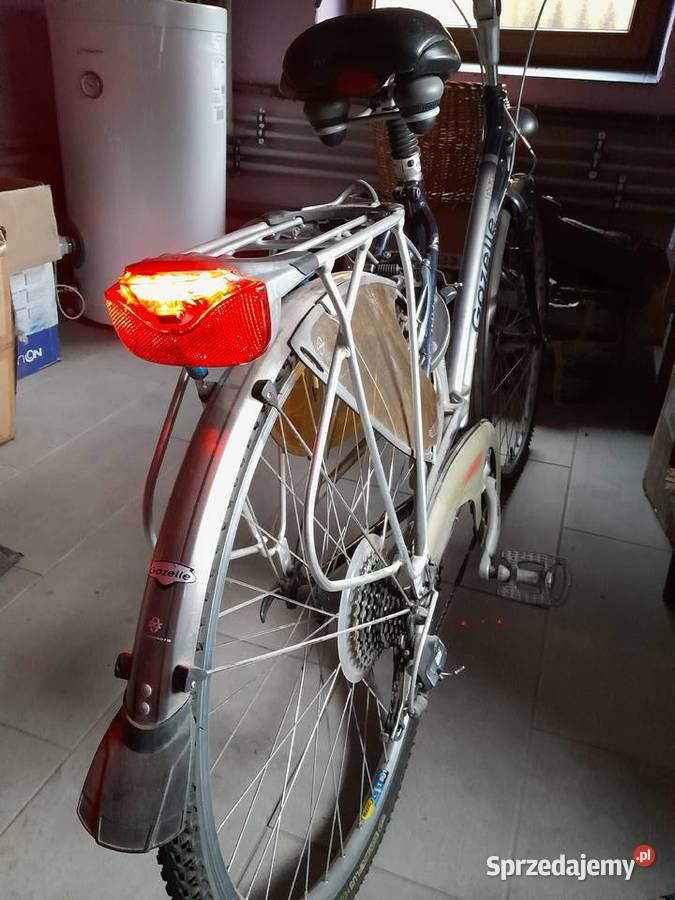 GAZELLE damka lubelskie Łuków