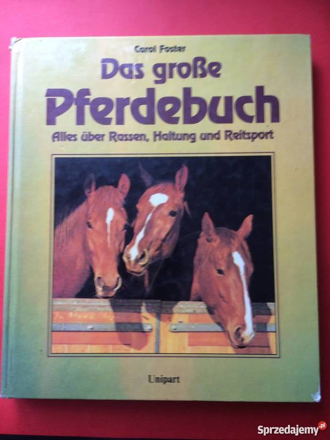 400 Konie Szczecin sprzedam