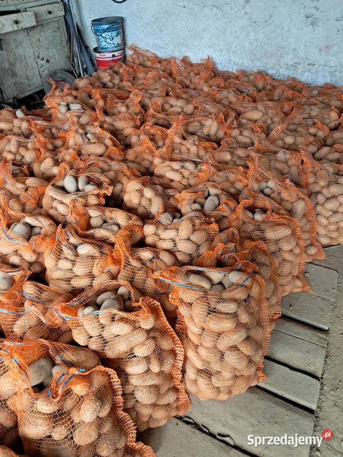 Sprzedam ziemniaki jadalne Queen Anna Rośliny okopowe Imbramowice