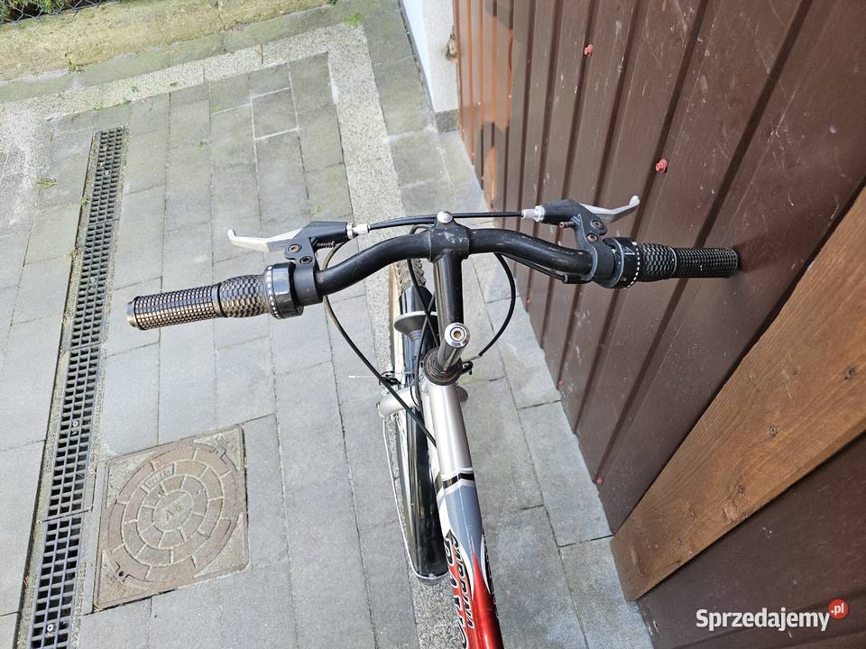 Rower Carina Rayon z niską ramą koła 24 Góra