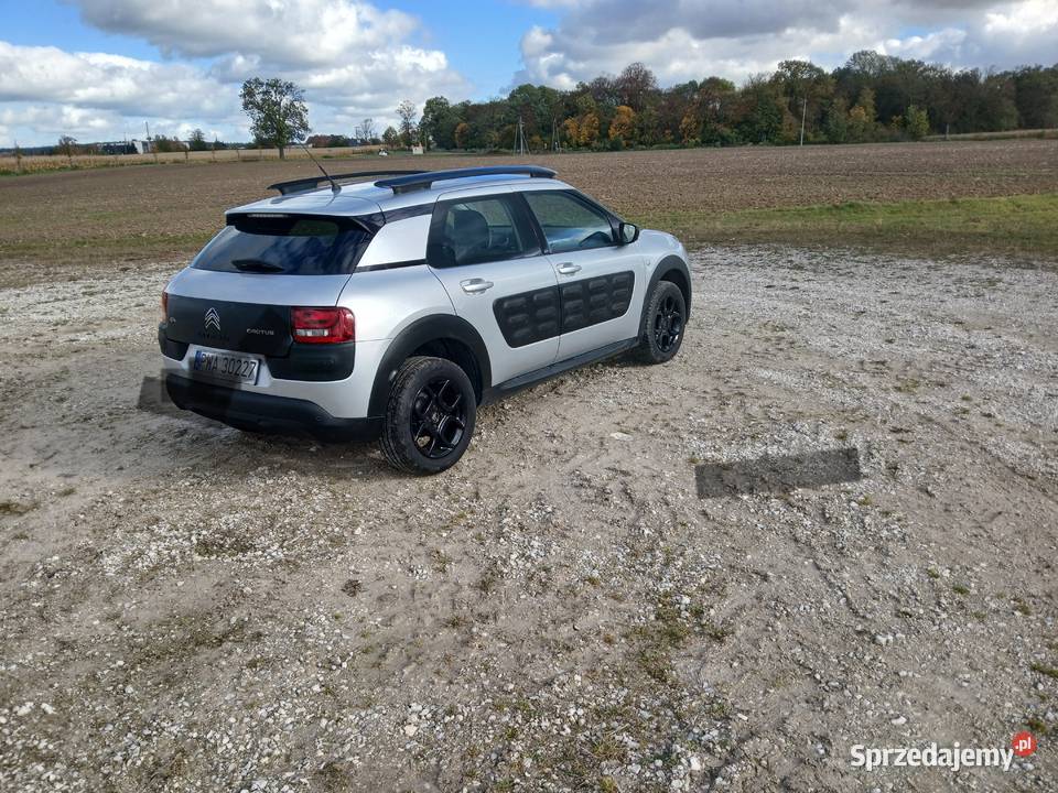 Citroen c4 cactus Gołańcz
