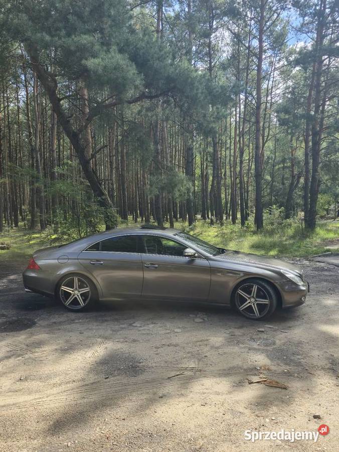 Mercedes Cls W219 Toruń
