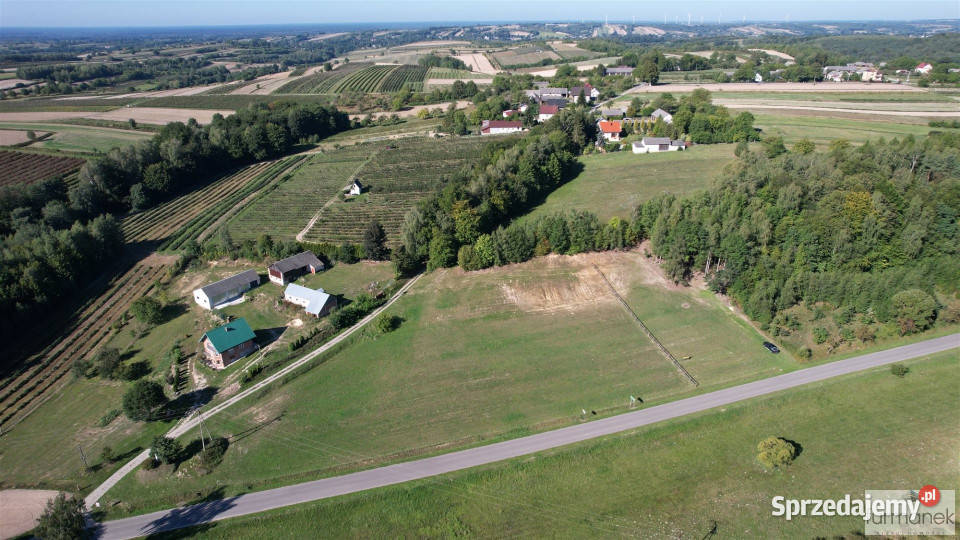 Sprzedam działka TeodorówkaKolonia 2636m2 siedliskowa lubelskie Teodorówka-Kolonia