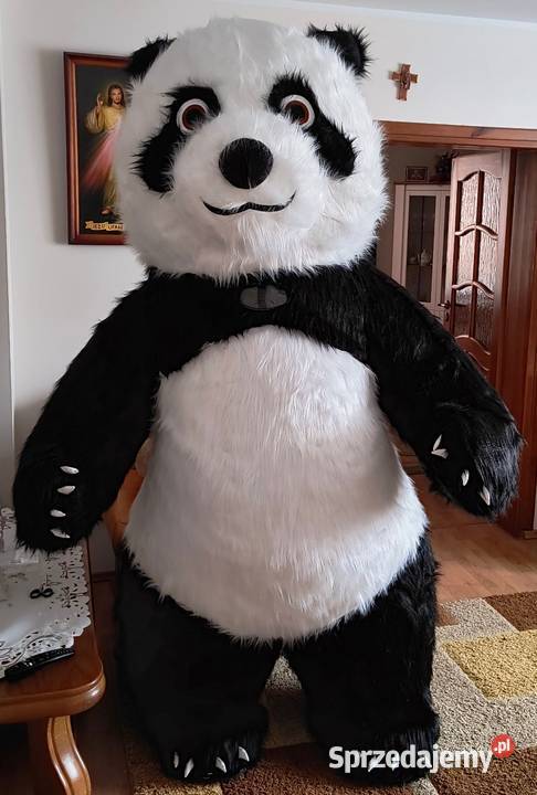 Wynajem dmuchańce dmuchaniec maskotki Piana podlaskie Łomża