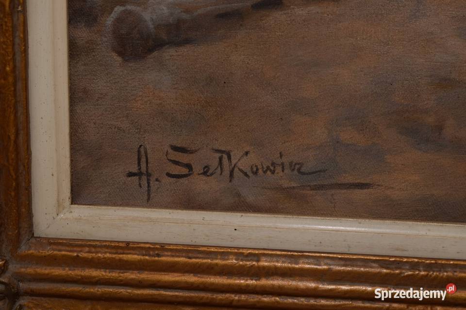 A Setkowicz POLSKA WIEŚ Spotkanie przed Kraków sprzedam