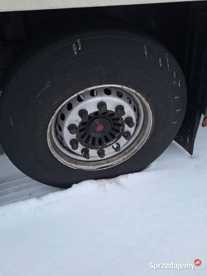 Naczepa chłodnia Krone 2010 Biała Podlaska