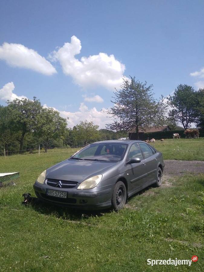 Citroen C5 Wielopole Skrzyńskie