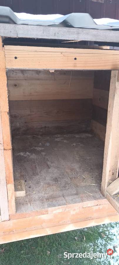 Klatka królików podkarpackie Sędziszów Małopolski