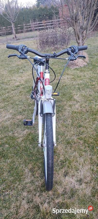 Rower dziecięcy Bingo Suzana 24 Zielonki