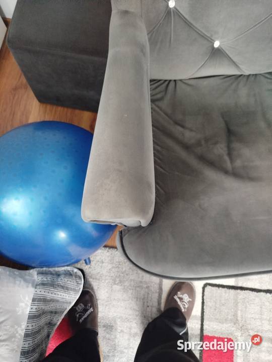 Fotel uszak Piotrków Trybunalski