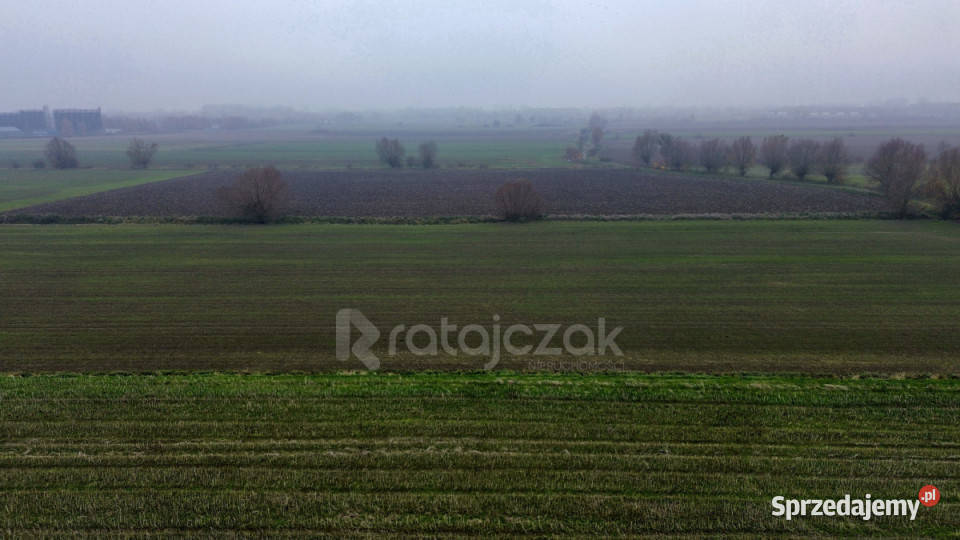 Grunt Drewnica Wierzbowa 3012m2 151m pomorskie