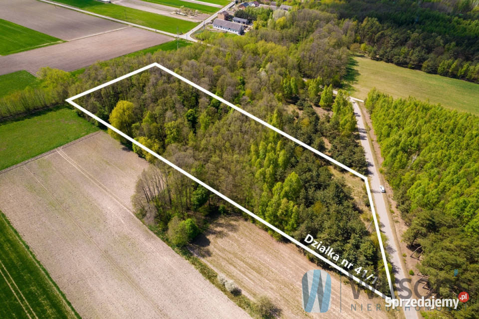 Działka 13000m2 Załuski 13000m2 mazowieckie