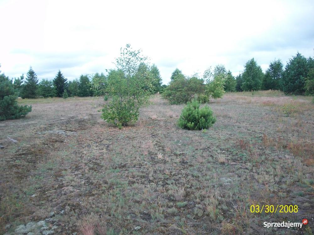 działka rekreacyjna rzeką Wkrą 1800 m2 Prusocin