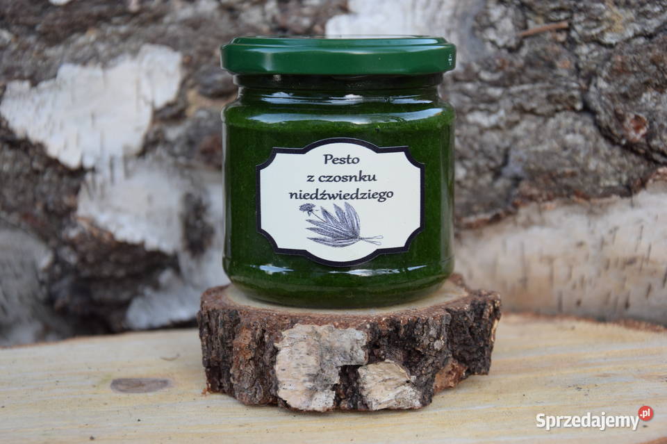 Pesto z czosnku niedźwiedziego małopolskie Jodłownik
