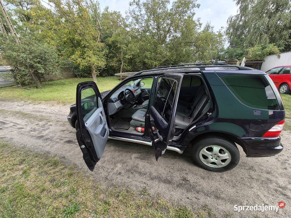 Mercedes ML270 CDI W163 2004 2700cm3 Kalisz