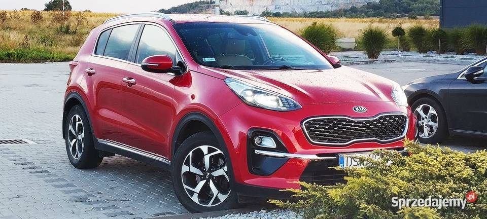 Kia Sportage IV 16 GDI 2019 Biznes Line Plus przyciemniane szyby Strzegom