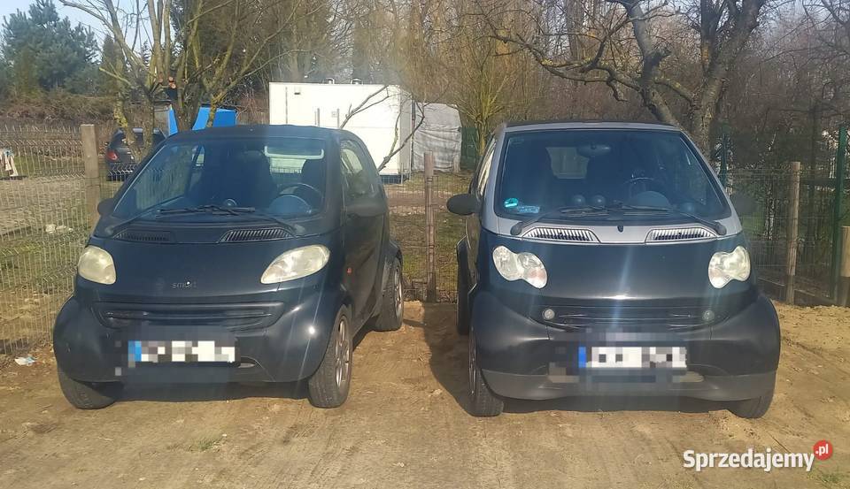 Dwa Smarty w jednego Tarnowo Pałuckie