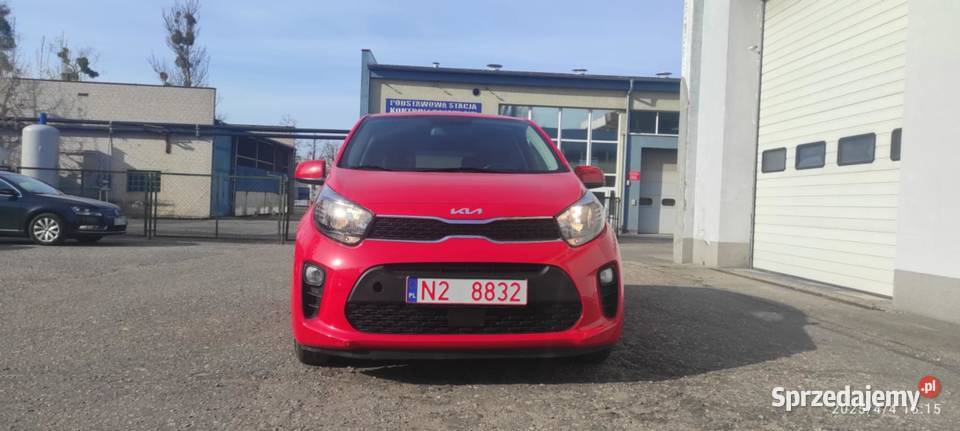 KIA Picanto III Lift model 2023 nieuszkodzony Picanto Olsztyn