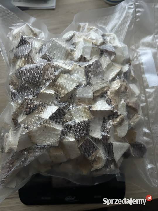 Białoporek brzozowy suszony 590g Gliwice