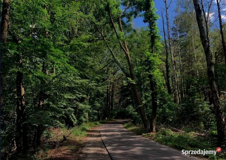 Działka budowlana drodze asfaltowej 1636m2 Świbinki sprzedam