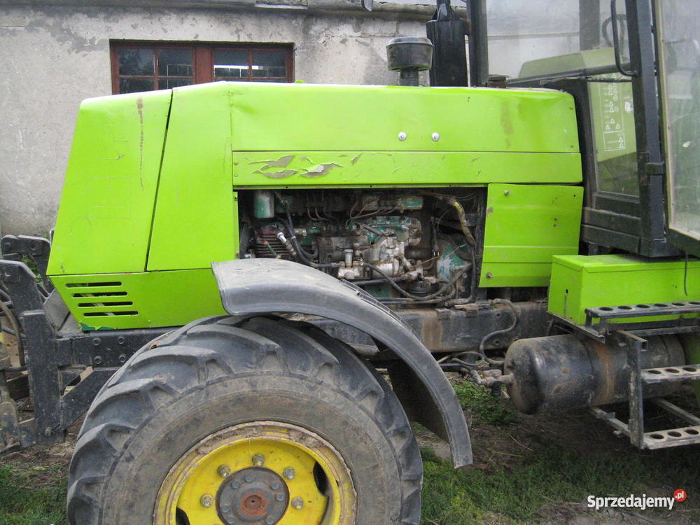 Forschnit kujawsko-pomorskie Suponin