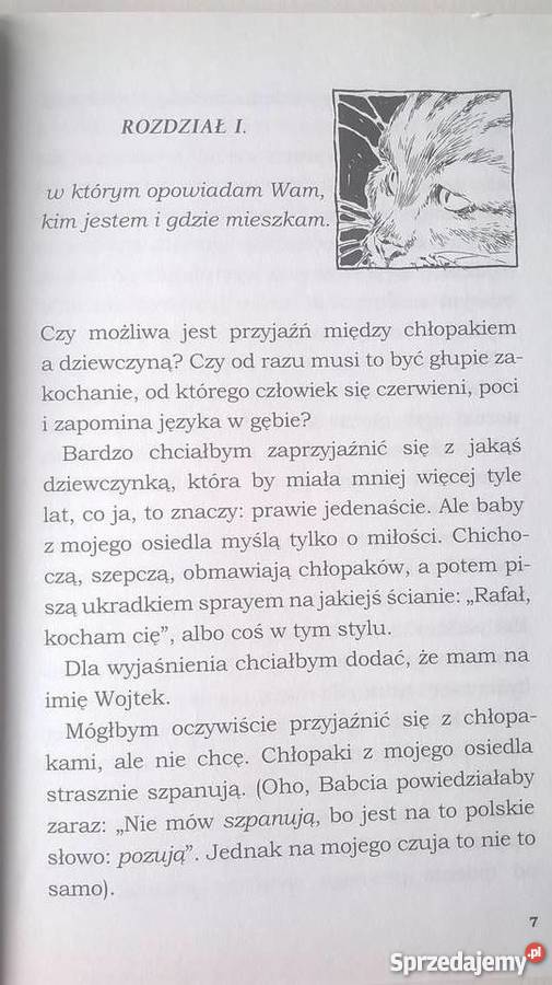 Przepraszam czy tu głaszczą Katarzyna śląskie Rybnik