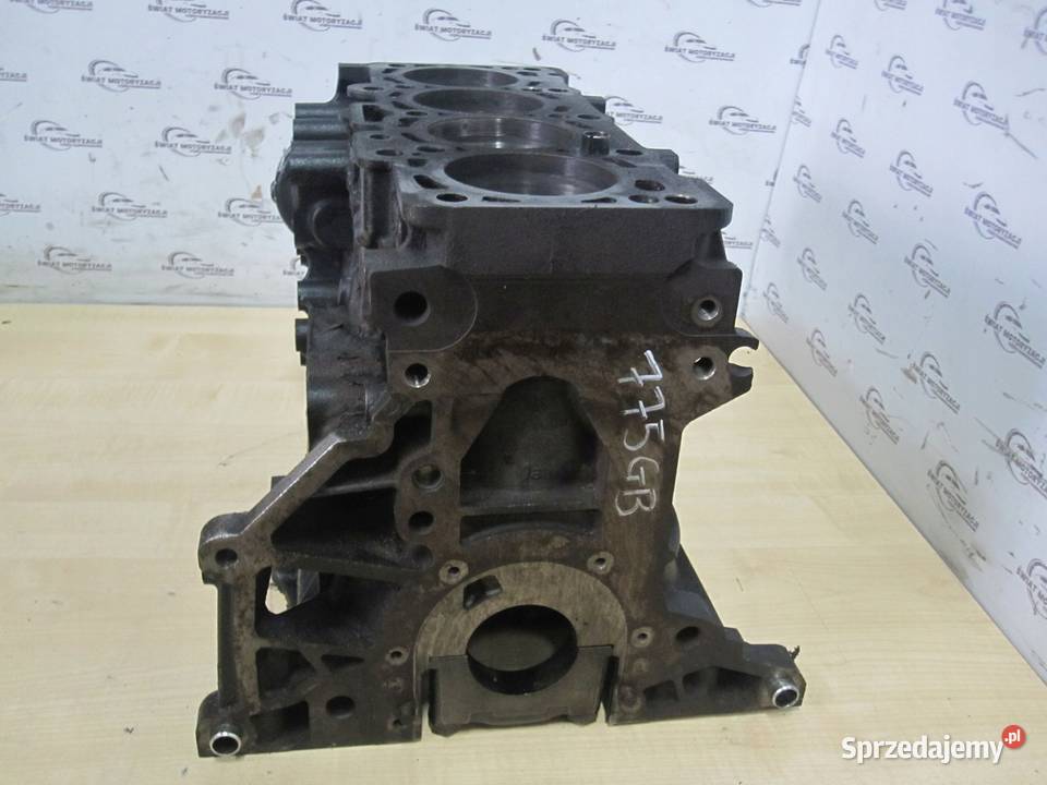 GOLF PASSAT EOS 16 TDI CAY 105 159 13r blok osobowe Części samochodowe Kielce sprzedam