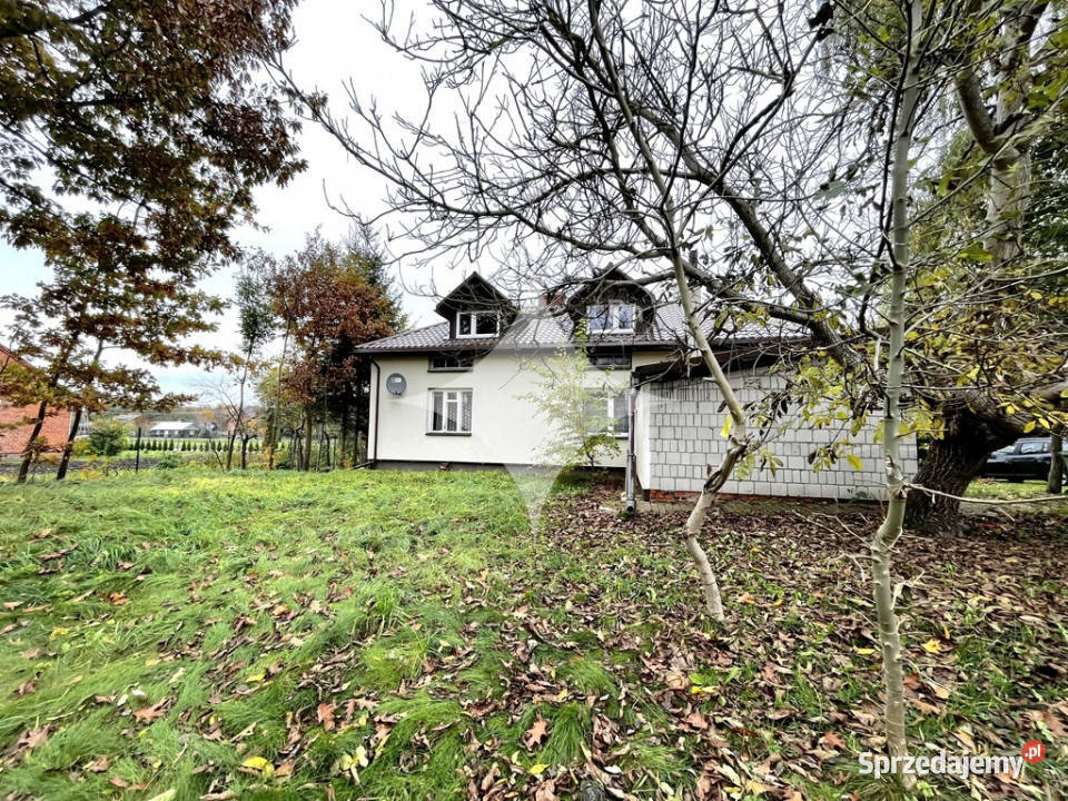 Duże siedlisko w centrum Tarnawatki Tarnawatka