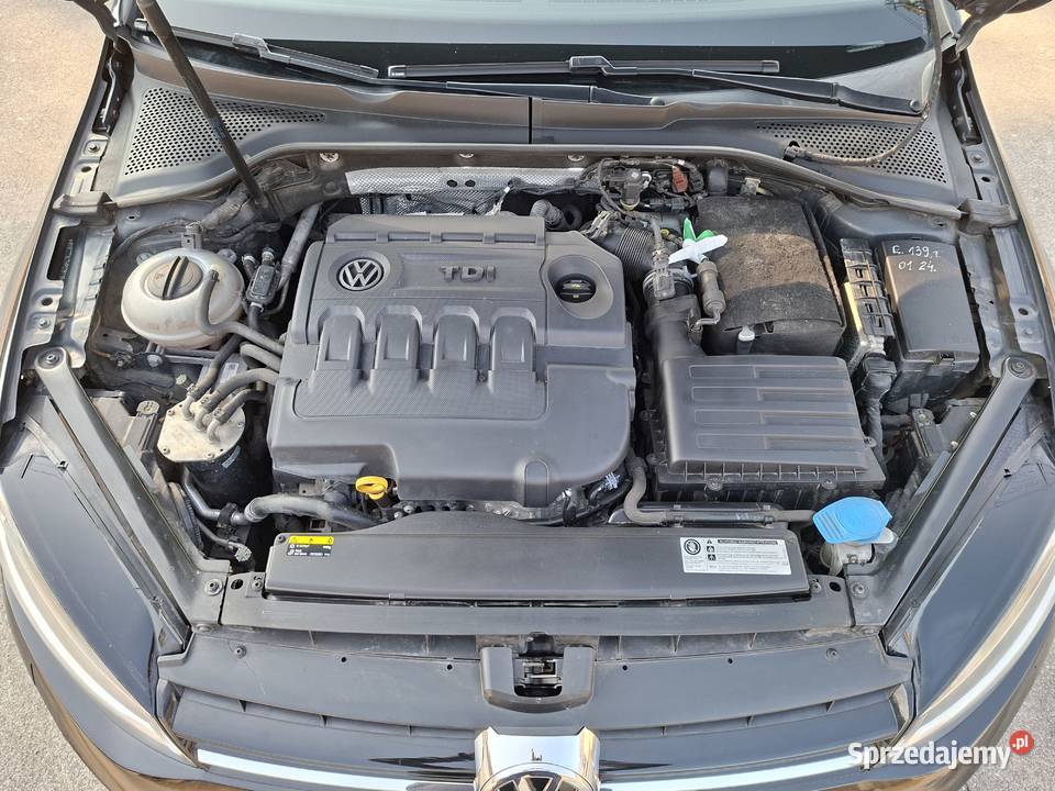 Golf 7 2017 16 Tdi ALLSTAR Szadek