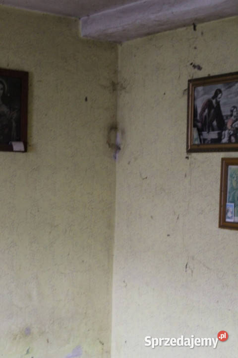 Do wynajęcia mieszkanie z możliwością wykupu