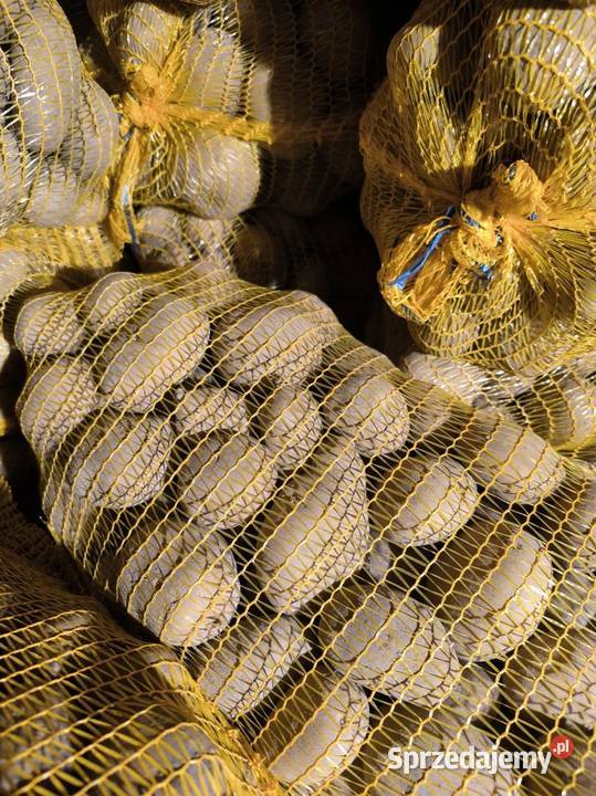 Sprzedam ziemniaki jadalne małopolskie