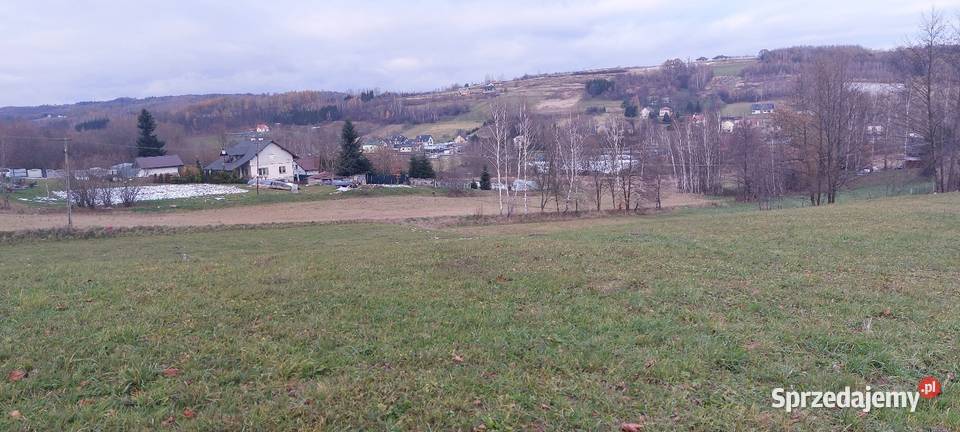 Sprzedam działkę budowlaną 25 arów media WZ 2500m2 Tyczyn sprzedam