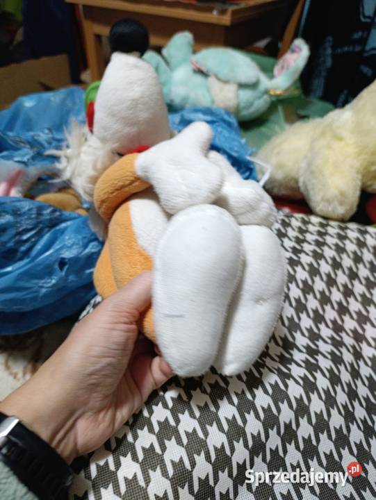 Pluszak przedstawia Ferdi Fuchsa maskotkę wielkopolskie Poznań