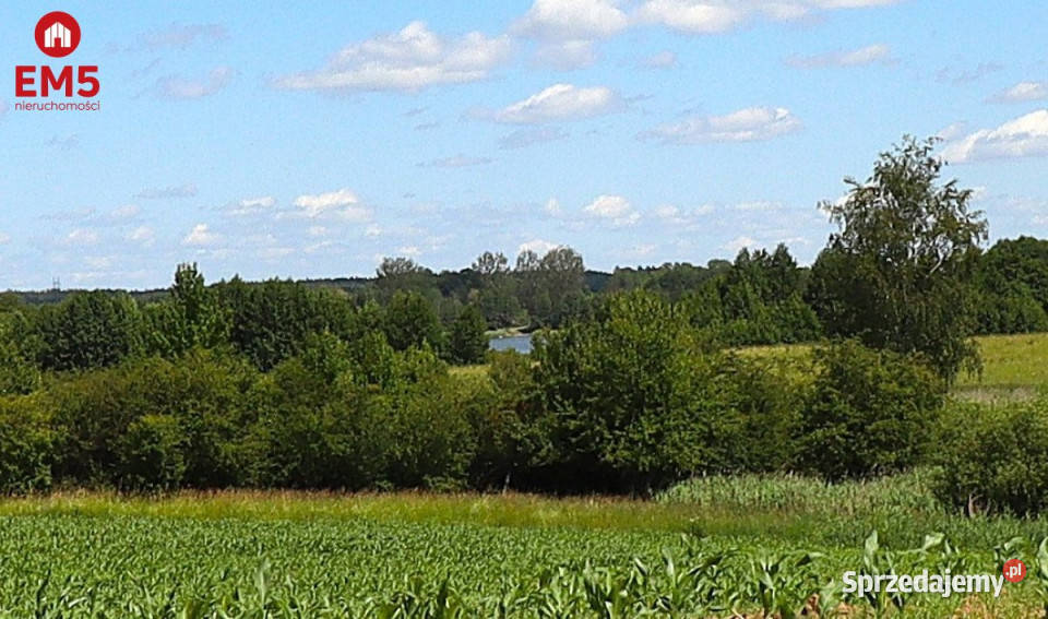 Sprzedam działka 1273m2 Rożyńsk Wielki