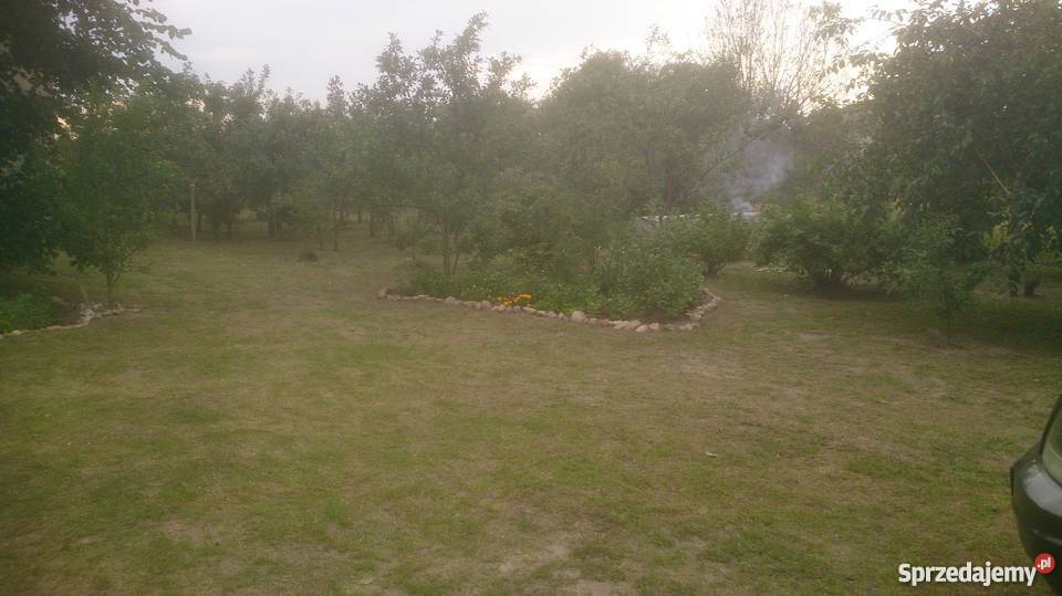 DOM SIEDLISKO powiat MLAWA asfalt Domy