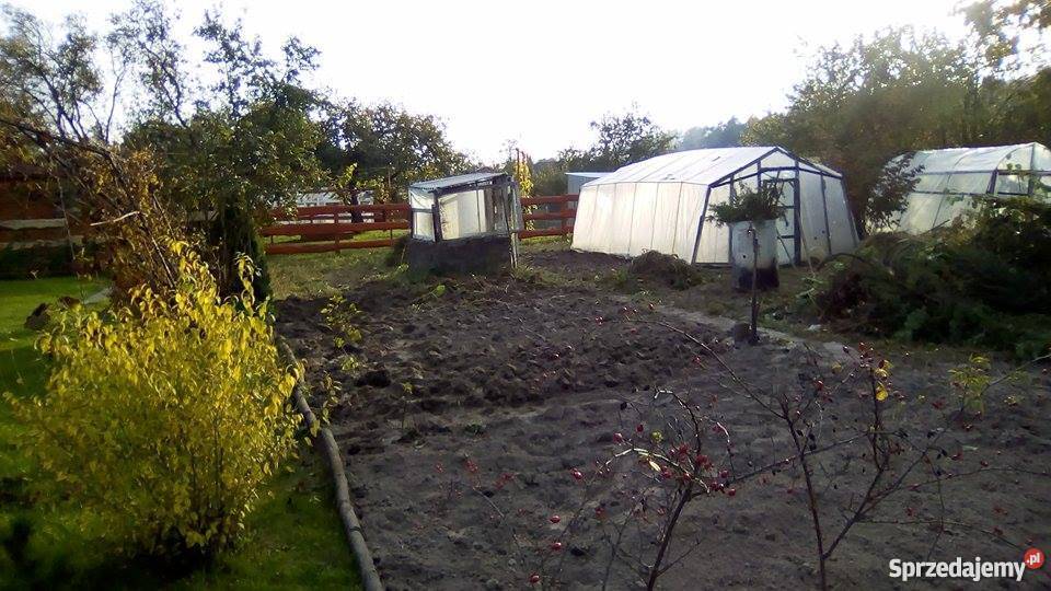 Sprzedam działkę na Rodzinny Ogród Dzialkowy 20zł/m2 Kraśnik